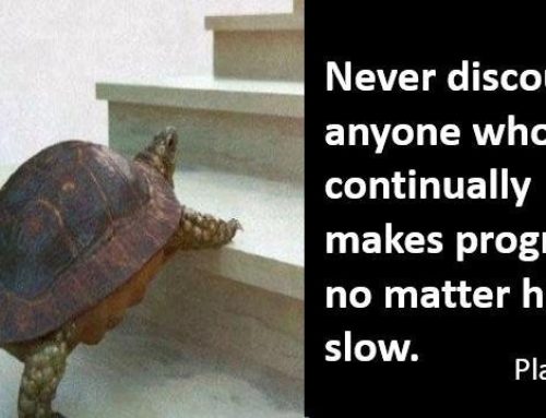Don’t Curse Your Inner Turtle!